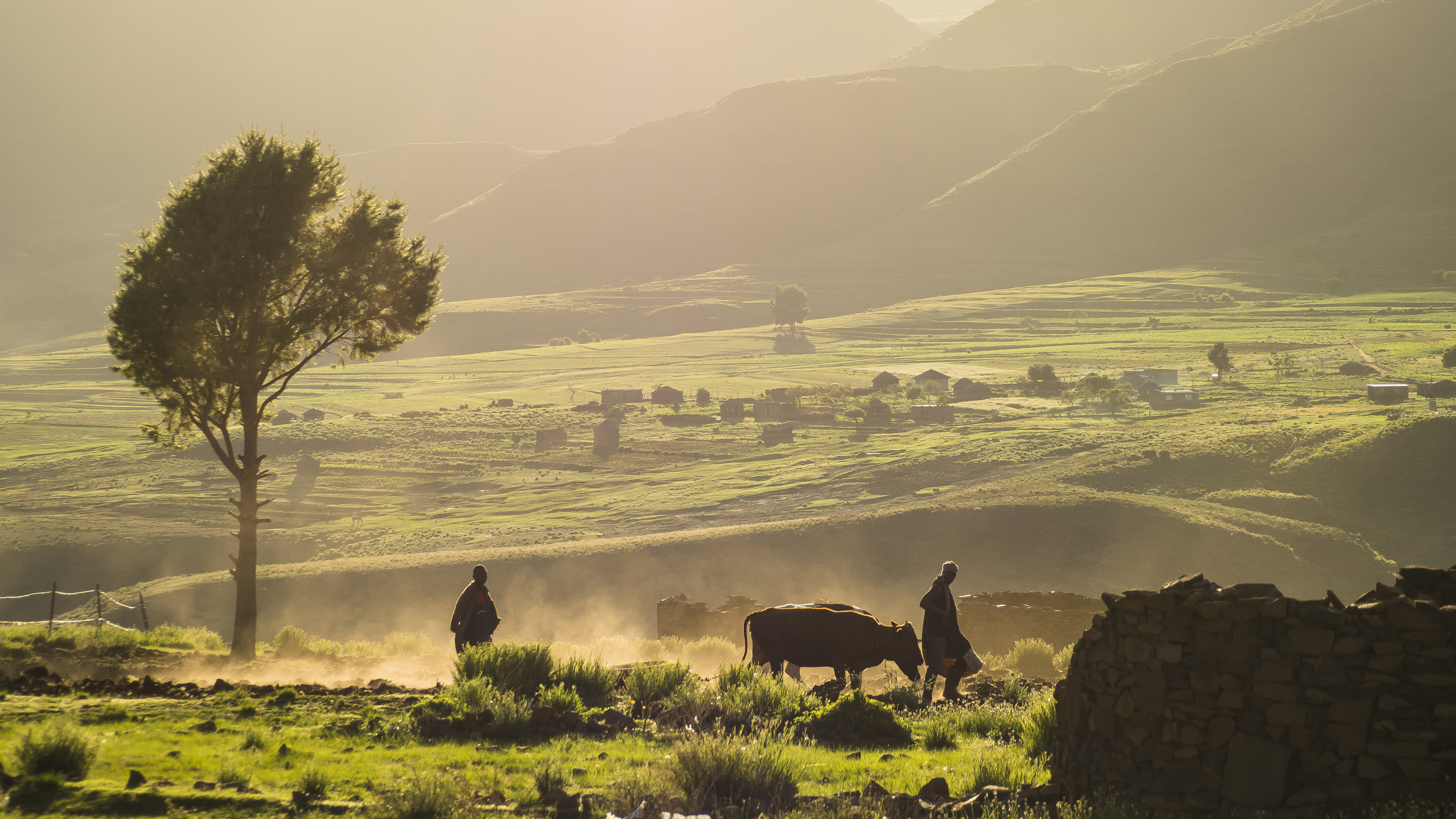 rural-subsistence-farming-hero